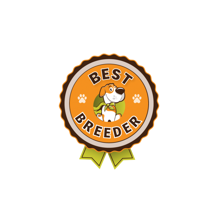 Happy Doggo Top 50 Best Breeder in America Award
