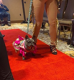 Werbalina 12/4/21 at Maxine's Honky Tonk Fashion Show at the Bobby Hotel in Nashville supporting the Humane Society of Nashville