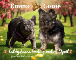 Emma & Louie - Due end of April