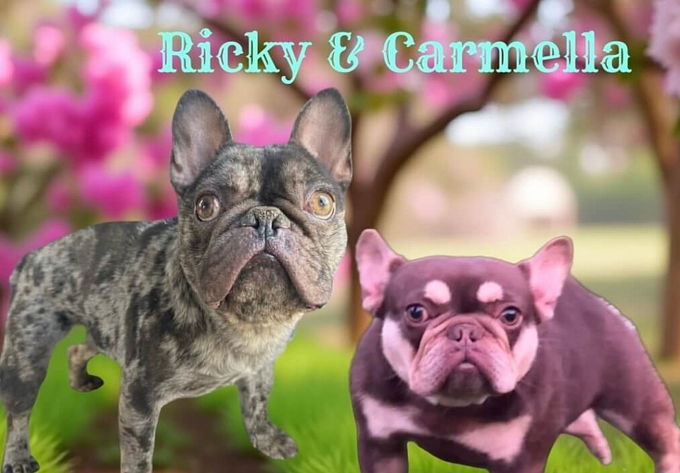 .Ricky & Carmella - due 3/26/26